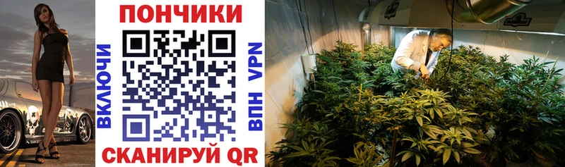 Канабис индика  ссылка на мегу онион  Кущёвская 
